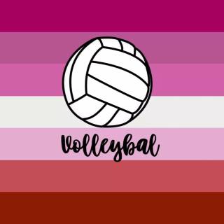 Volleyball laptop wallpaper