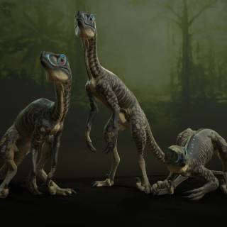 Troodon wallpaper