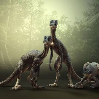 Troodon wallpaper