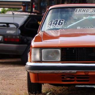 Opala Diplomata wallpaper