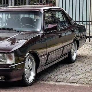 Opala Diplomata wallpaper