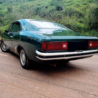 Opala Diplomata wallpaper