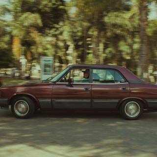 Opala Diplomata wallpaper