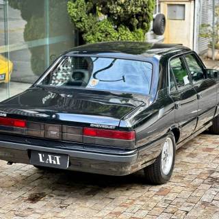 Opala Diplomata wallpaper