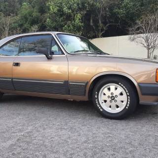 Opala Diplomata wallpaper