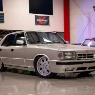 Opala Diplomata wallpaper