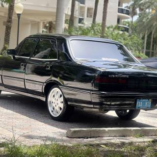 Opala Diplomata wallpaper