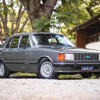 Opala Diplomata wallpaper