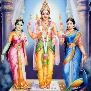 Murugan Valli wallpaper