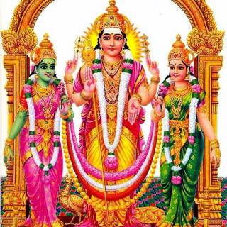 Murugan Valli wallpaper