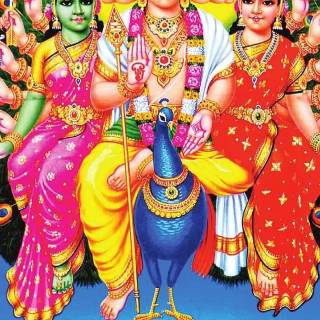 Murugan Valli wallpaper