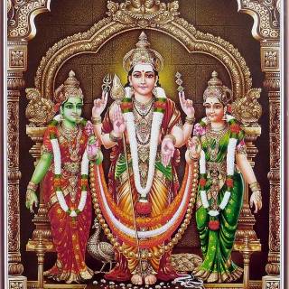 Murugan Valli wallpaper