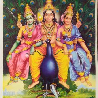 Murugan Valli wallpaper