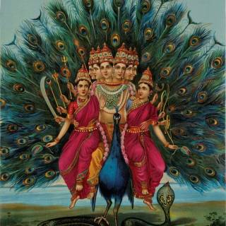 Murugan Valli wallpaper