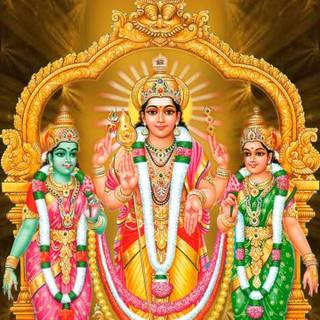 Murugan Valli wallpaper