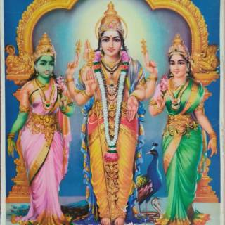 Murugan Valli wallpaper