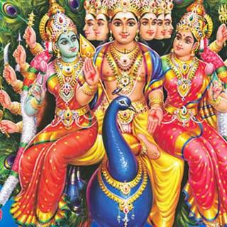 Murugan Valli wallpaper