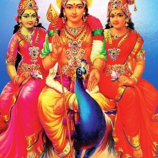 Murugan Valli wallpaper