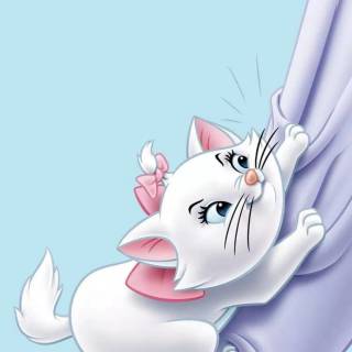 Marie the cat wallpaper