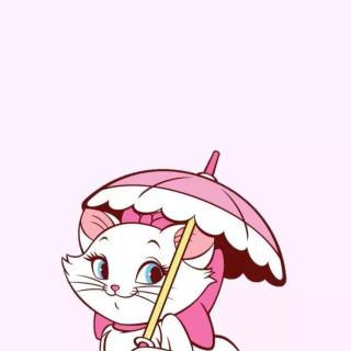 Marie the cat wallpaper