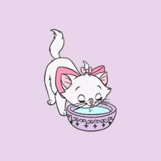 Marie the cat wallpaper