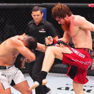 Sharaputdin Magomedov wallpaper