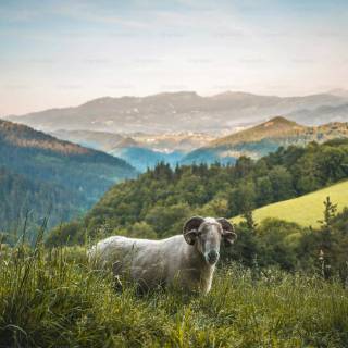 Basque Country wallpaper