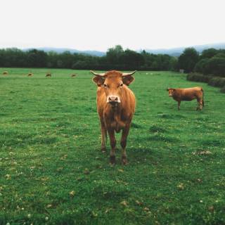 Basque Country wallpaper