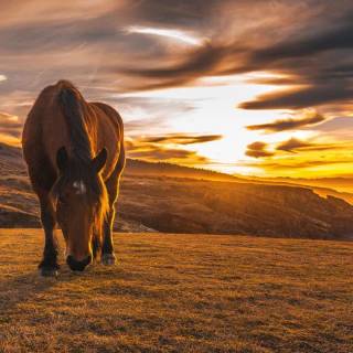Basque Country wallpaper