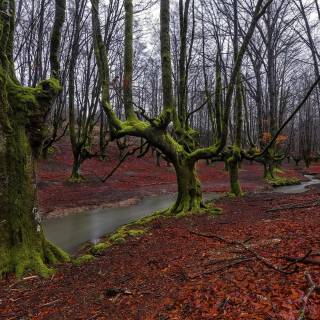 Basque Country wallpaper