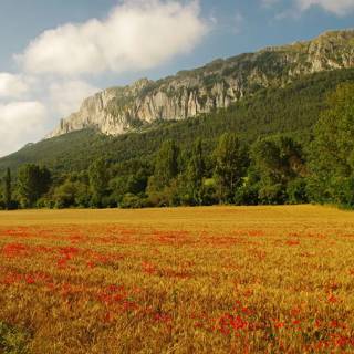 Basque Country wallpaper