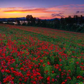 Basque Country wallpaper