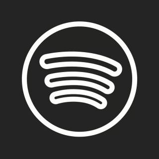 Spotify PFP wallpaper