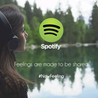 Spotify PFP wallpaper