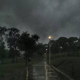 Spotify PFP wallpaper