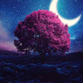 Cozy fantasy wallpaper