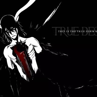 Bleach quotes wallpaper