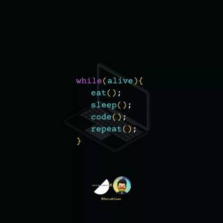 Programmer HD wallpaper