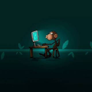 Programmer HD wallpaper