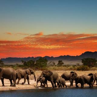 Afrocentric wallpaper