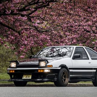 Toyota Levin wallpaper