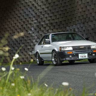 Toyota Levin wallpaper