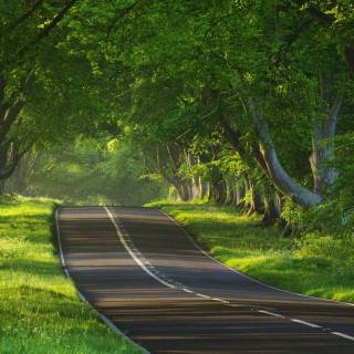 IT Professional wallpaper