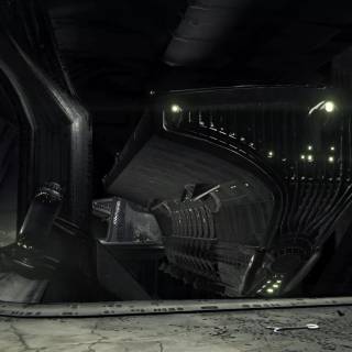 King's Fall wallpaper