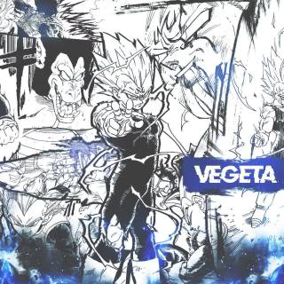 Manga Vegeta wallpaper