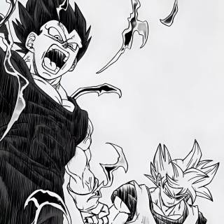 Manga Vegeta wallpaper