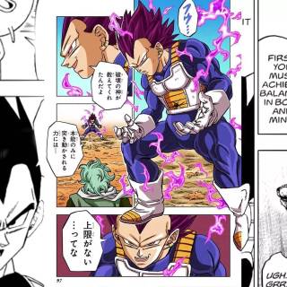 Manga Vegeta wallpaper