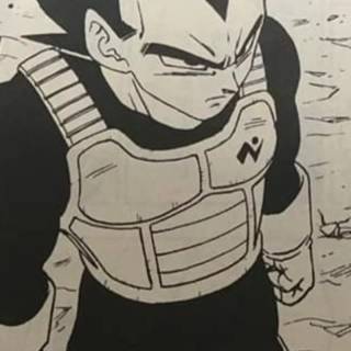 Manga Vegeta wallpaper