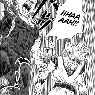 Manga Vegeta wallpaper