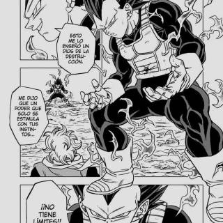 Manga Vegeta wallpaper